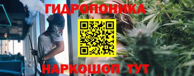 гидра Абакан