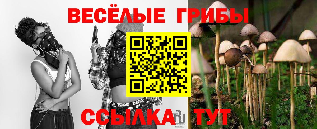 Галлюциногенные грибы Psilocybe Альметьевск