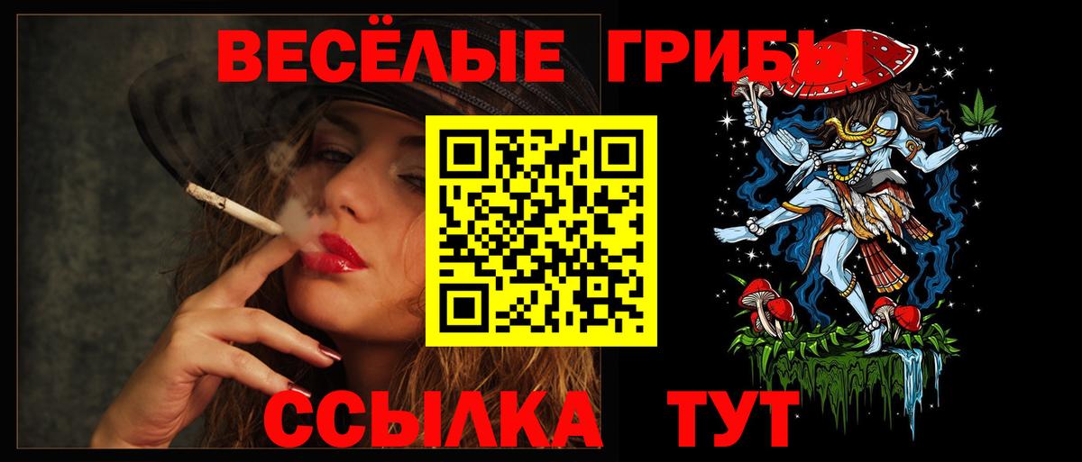 Альметьевск  Галлюциногенные грибы Cubensis  Вход с VPN 